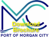 POMC Brochure